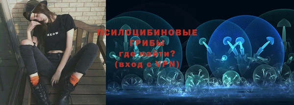 apvp Аркадак
