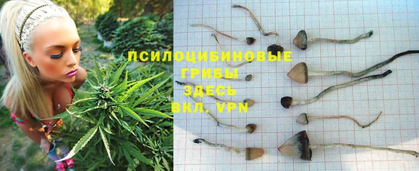 jwh Армянск