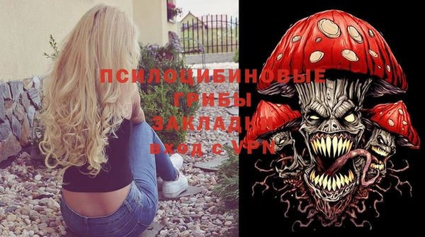 apvp Аркадак