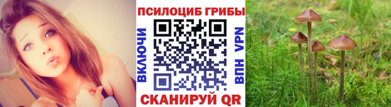 Галлюциногенные грибы ЛСД  Полярные Зори 