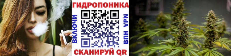 Марихуана MAZAR  Полярные Зори 